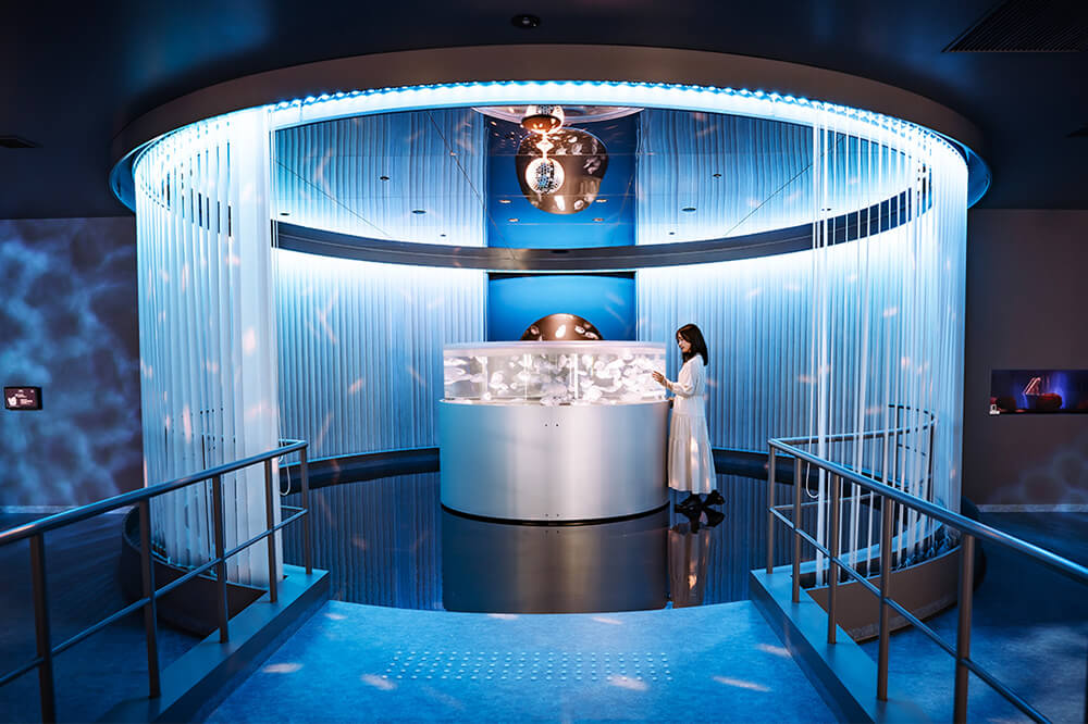 広島もとまち水族館　アクアメント