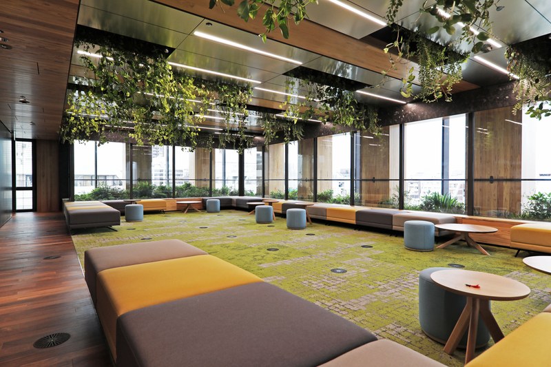 大林組 高層純木造建築「Port Plus」