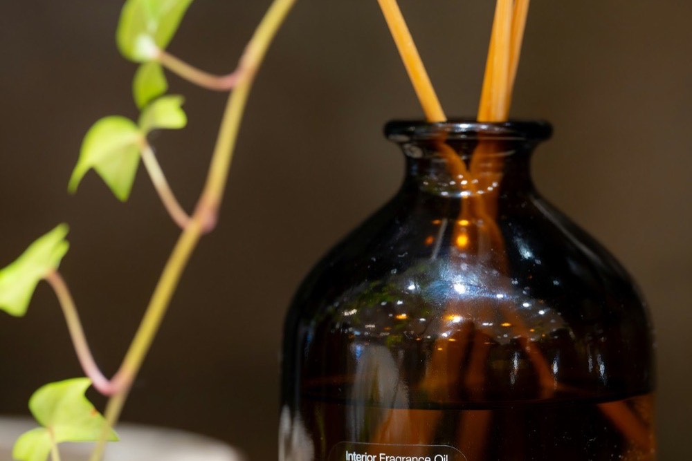 アンバーガラスのリードディフューザーとグリーンが調和する香りの空間演出